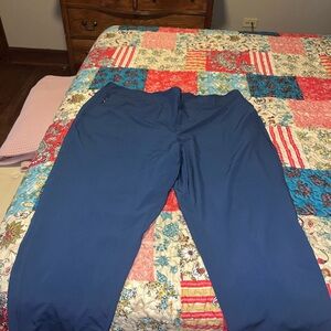 Limited Blue Pants 2x by The Limited. Polyester Athleisure
